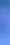 TRAIT BLEU PROTEST